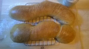 Gyökér kenyér 08 12 -1